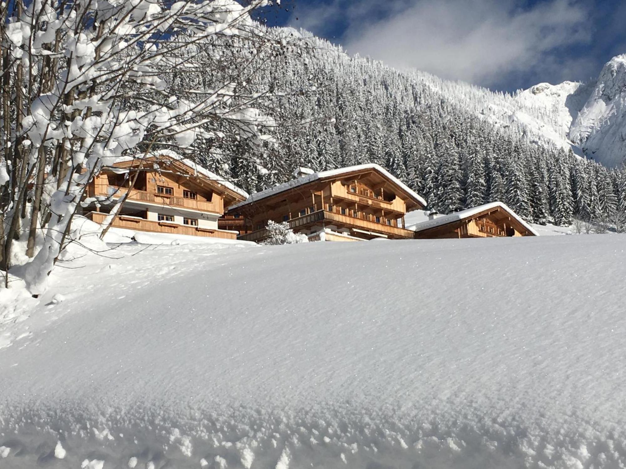Haus Fernwald Top Tim Und Nynke Alpbach Esterno foto