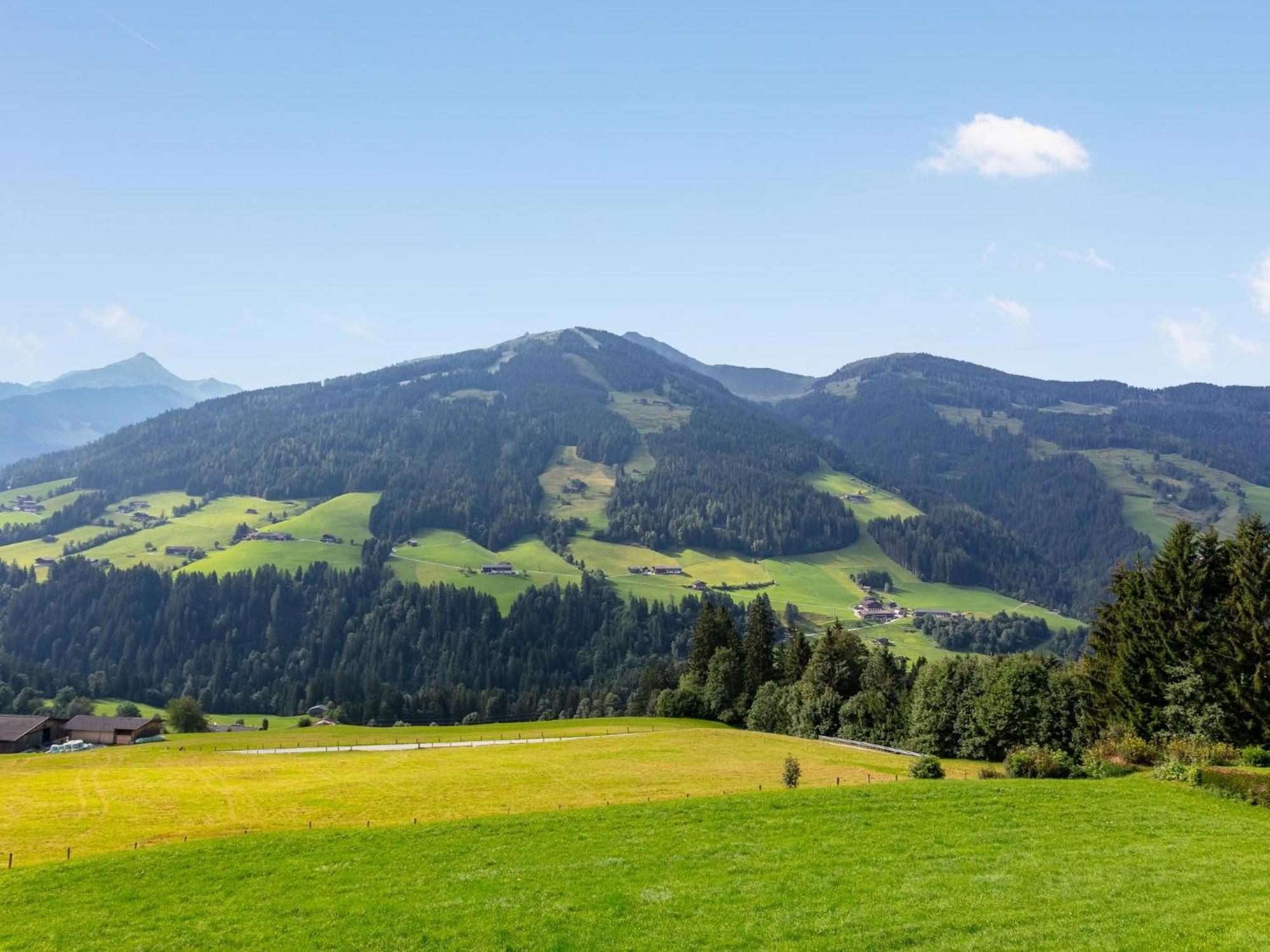 Haus Fernwald Top Tim Und Nynke Alpbach Esterno foto